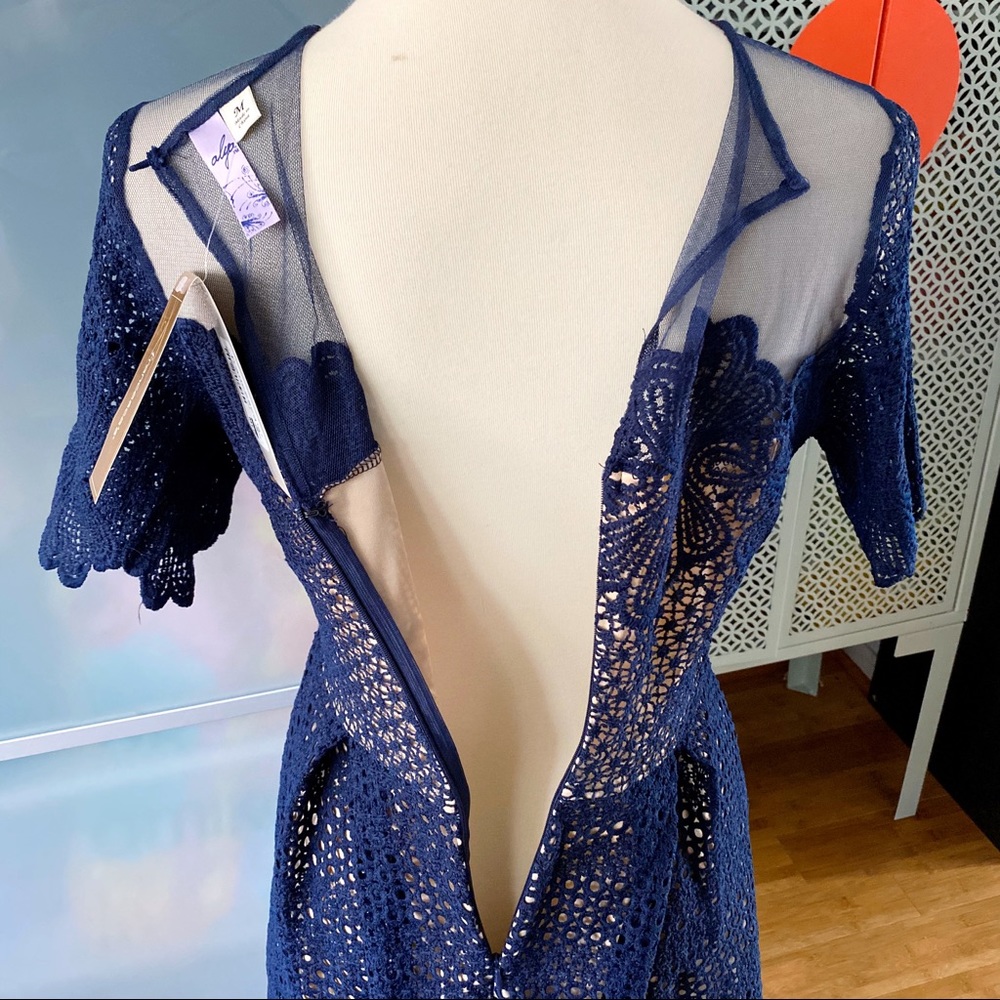 NWT Francesca’s Alya Kandyce Indigo Lace Dress - Picture 6 of 8